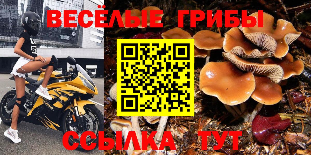 Галлюциногенные грибы MAGIC MUSHROOMS Лесозаводск
